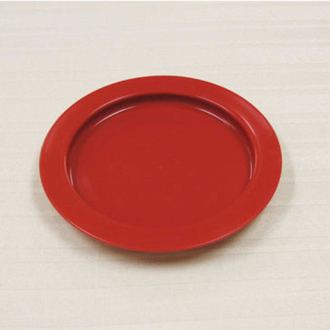 Redware Inner Lip Plate Maddak Special Needs Essentials