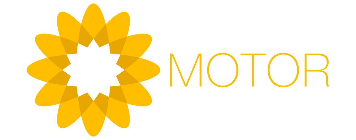Motor Essentials Motor – Special Needs Essentials